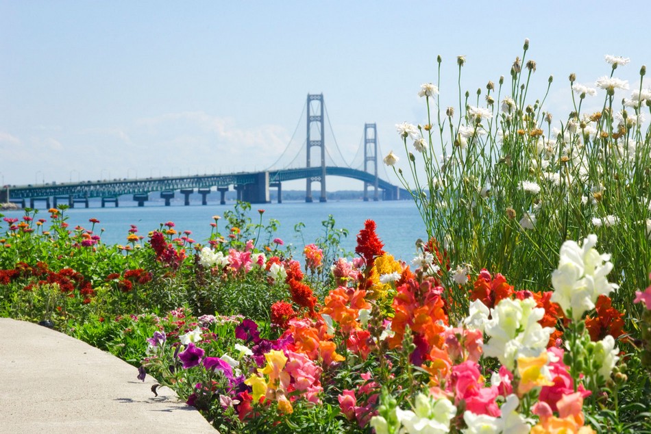 Bridge Veiw Park view